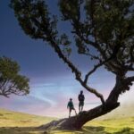 grenzenlose Freiheit