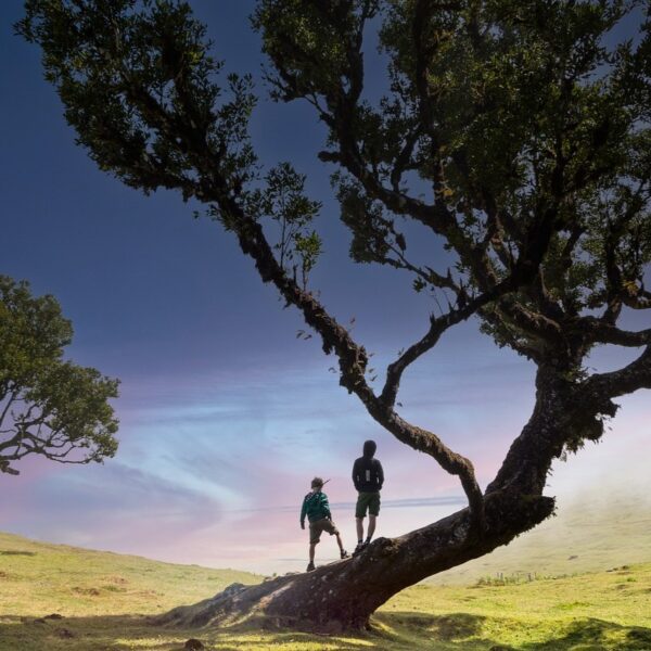 Wer will schon grenzenlose Freiheit? 1 Freiheit