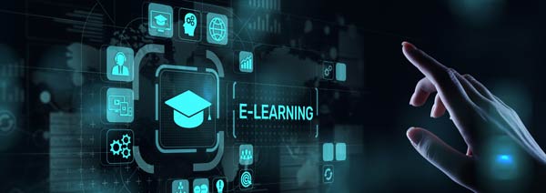 e-learning-Silke-Strauss-s Strauss Executive -